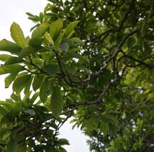 Meet your Posher, Joanna